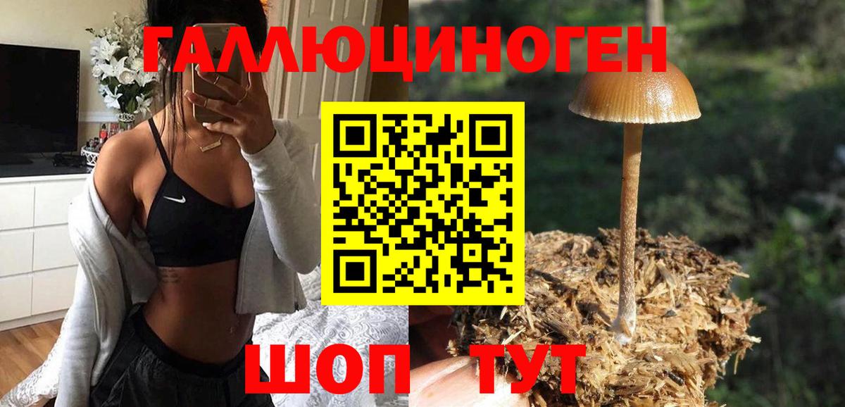 Ефремов  Псилоцибиновые грибы прущие грибы  как найти закладки  Вход с VPN  Псилоцибиновые грибы Psilocybe 