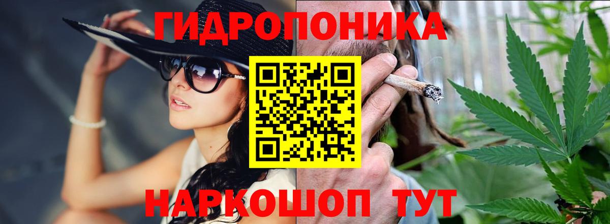 Ефремов  Бошки Шишки ГИДРОПОН  Вход с VPN  Каннабис SATIVA & INDICA  Бошки Шишки сатива 